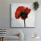Red Drops VI - Canvas Art Print
