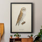 French Owls VI - Modern Framed Canvas Print