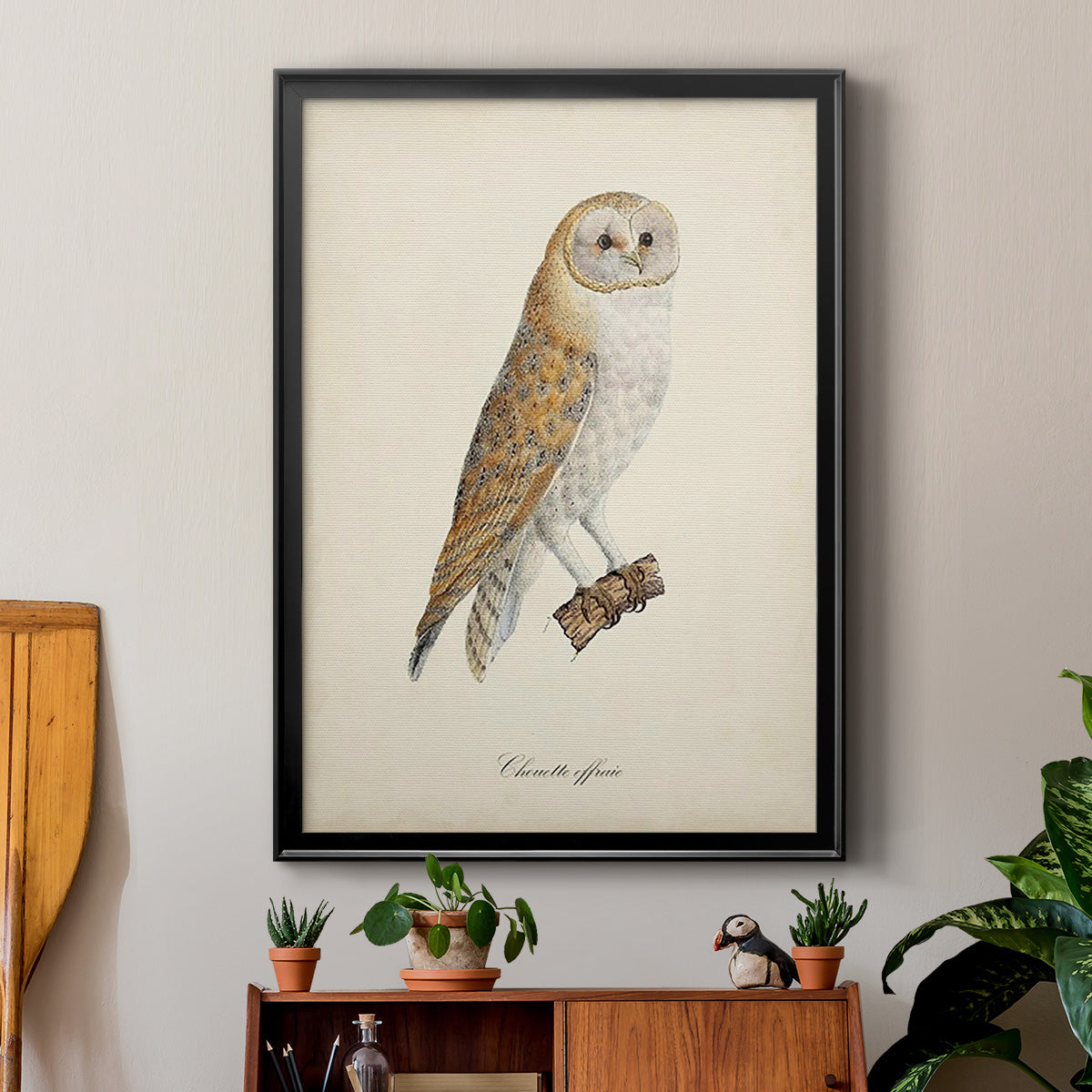 French Owls VI - Modern Framed Canvas Print