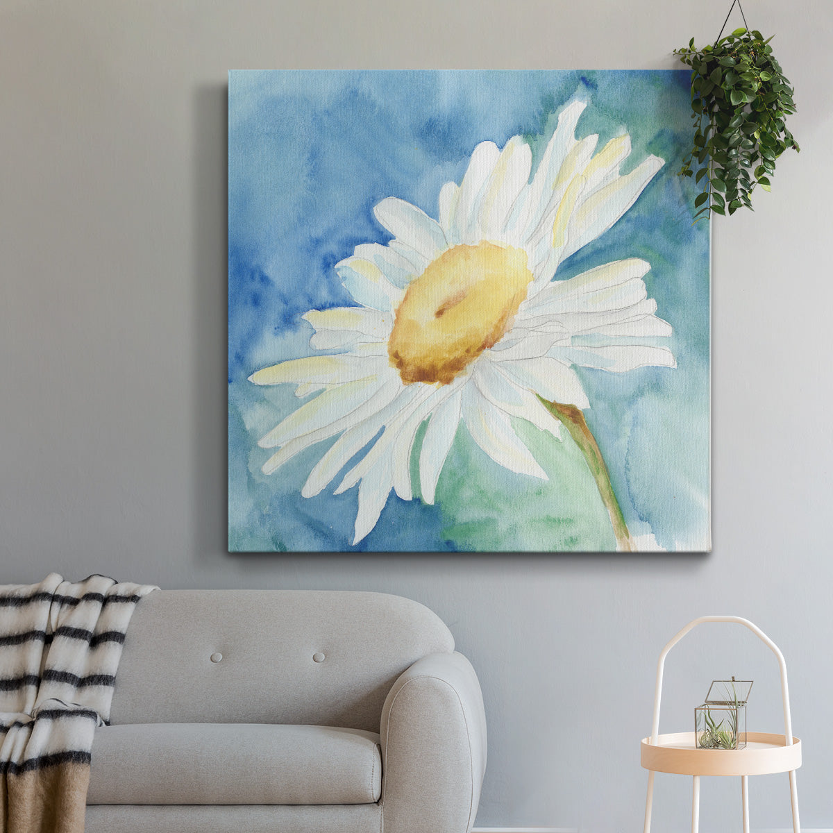 Daisy Sunshine I - Canvas Art Print