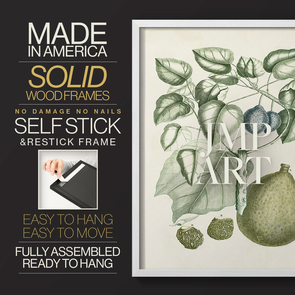 Buchoz Tropicals VIII - Restickable Framed Art Print