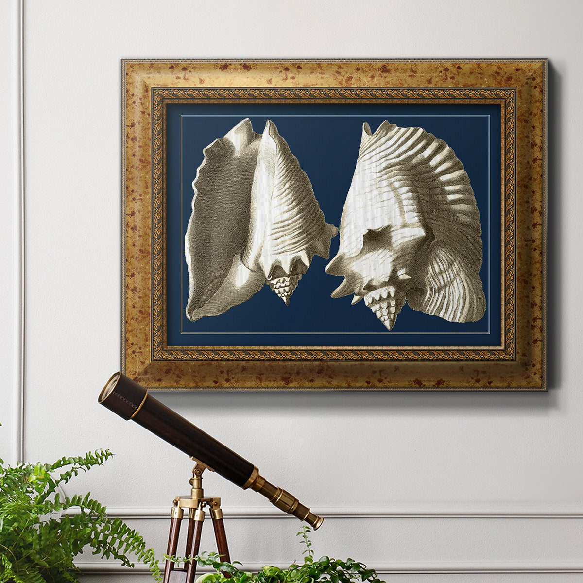 Conch Shells on Navy I Premium Framed Canvas- Ready to Hang