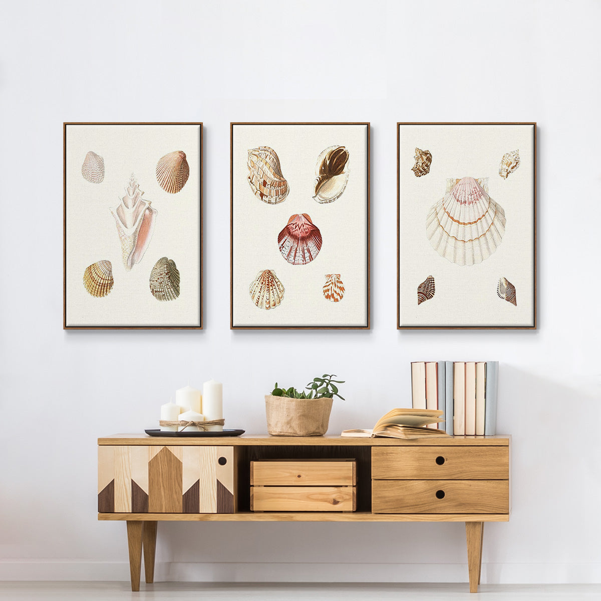 Pastel Knorr Shells IV - Framed Premium Gallery Wrapped Canvas L Frame 3 Piece Set - Ready to Hang