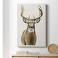 Handsome Whitetail II - Canvas Art Print