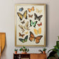 Collected Flutter I - Modern Framed Canvas Print