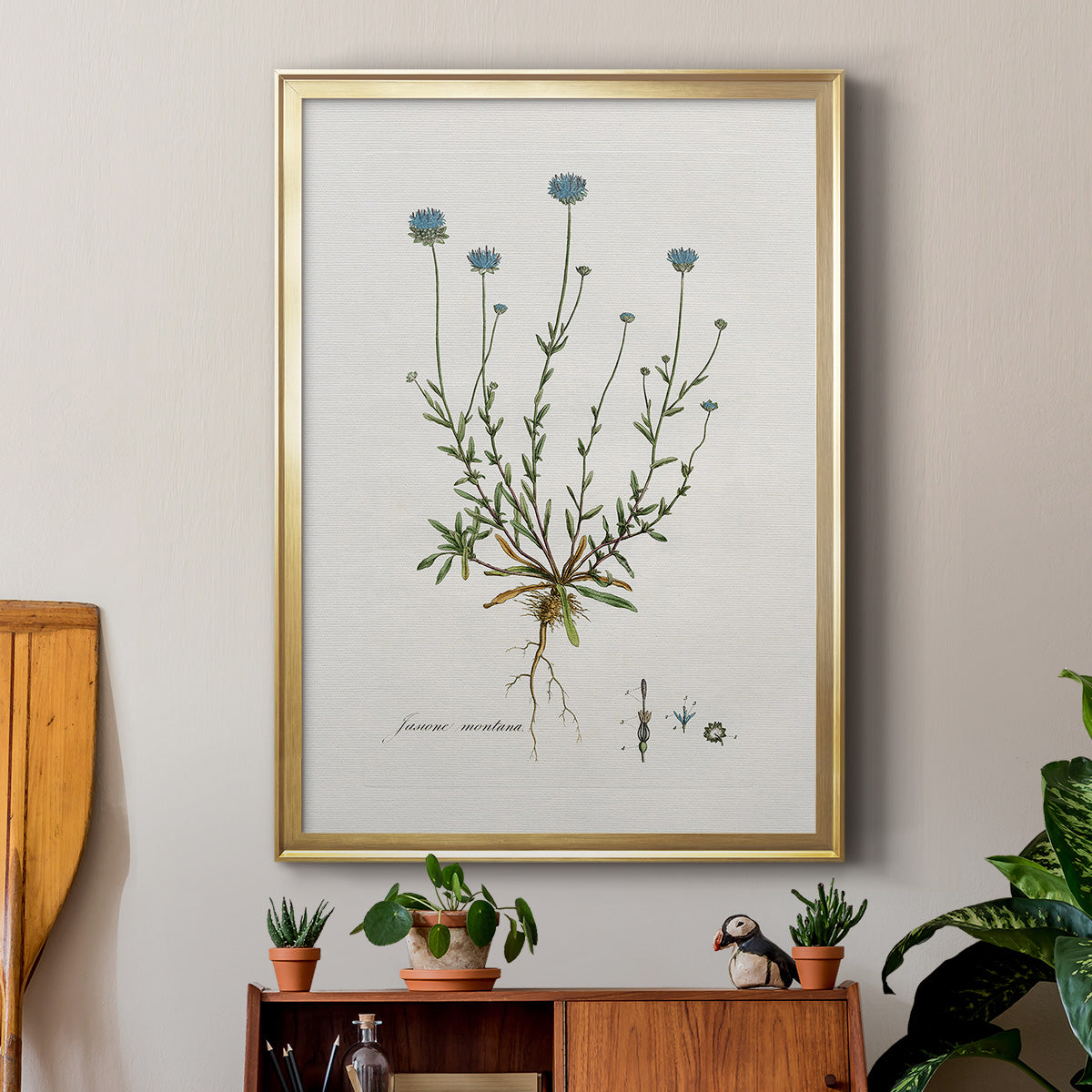 Bellflower Study - Modern Framed Canvas Print