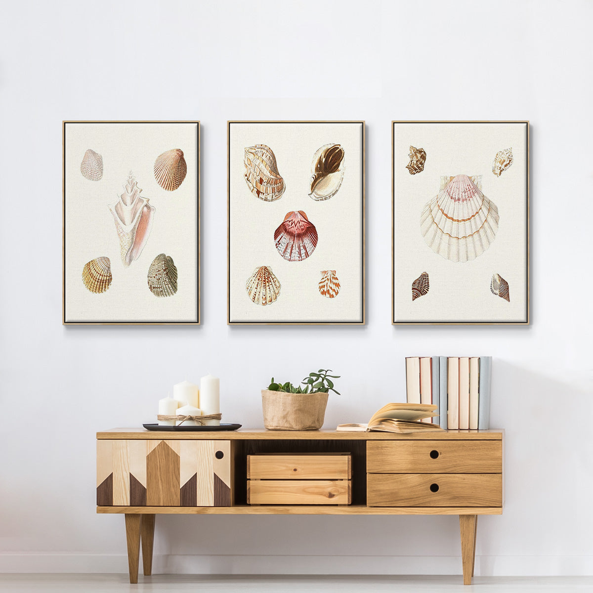 Pastel Knorr Shells I - Framed Premium Gallery Wrapped Canvas L Frame 3 Piece Set - Ready to Hang