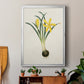 Flowers of the Seasons VI - Modern Framed Canvas Print