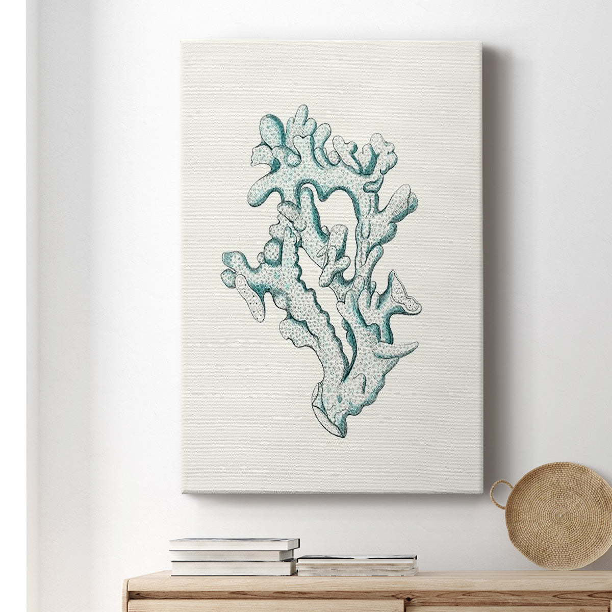 Antique Coastal Coral IV - Canvas Art Print