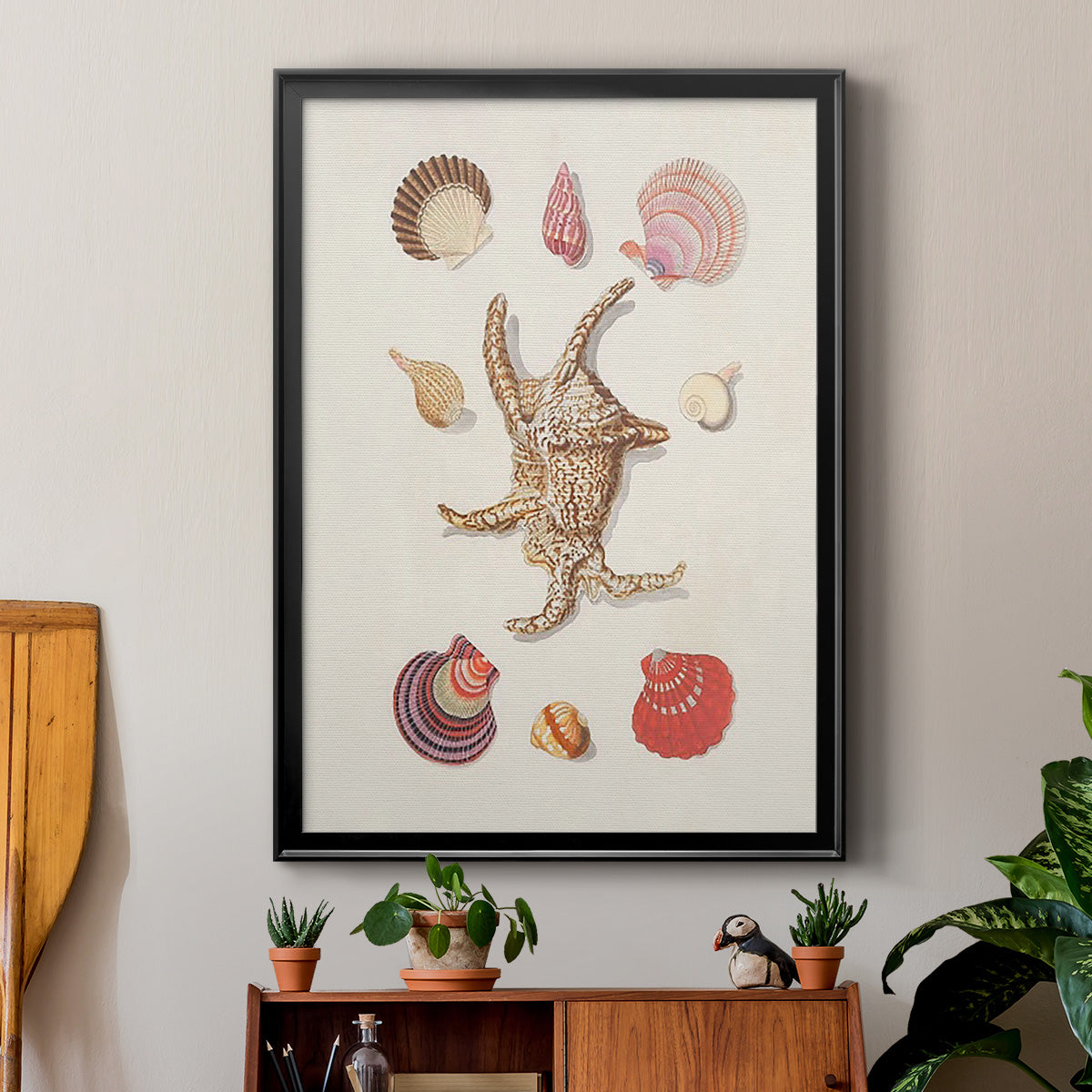Knorr Shells & Coral II - Modern Framed Canvas Print