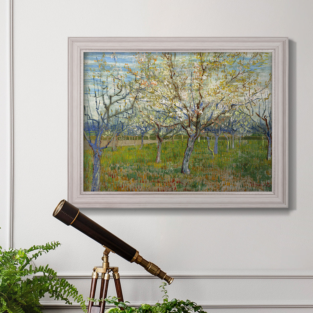 Orchard With Blossoming Apricot Trees - Ornate Framed Canvas Print