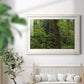 Calm of the Forest - Barnwood Framed Art Print