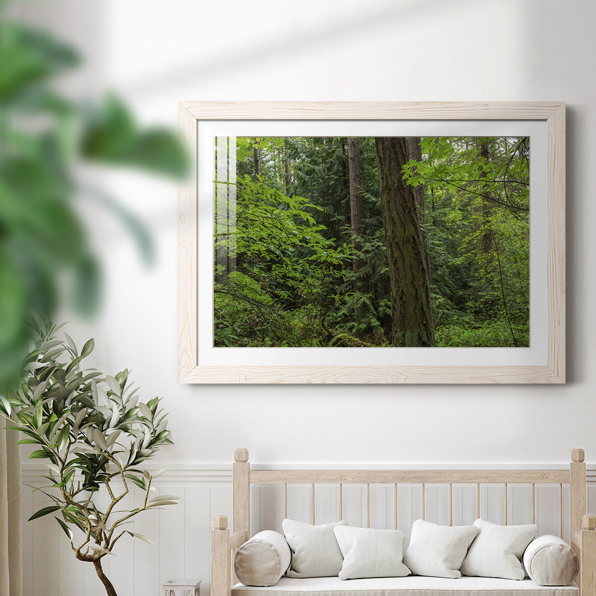 Calm of the Forest - Barnwood Framed Art Print