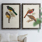 Elegant Trogons III - Premium Framed Canvas 2 Piece Set - Ready to Hang