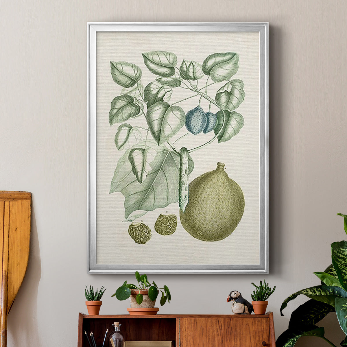 Buchoz Tropicals VIII - Modern Framed Canvas Print