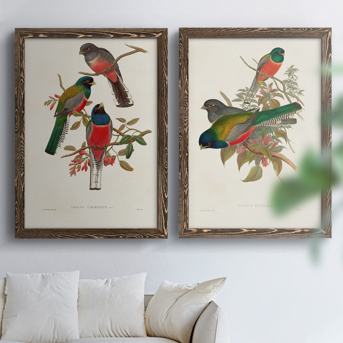 Elegant Trogons IX - Premium Framed Canvas 2 Piece Set - Ready to Hang