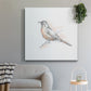Robin Bird Sketch II - Canvas Art Print
