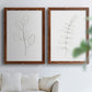 Botanical Gesture III - Premium Framed Canvas 2 Piece Set - Ready to Hang