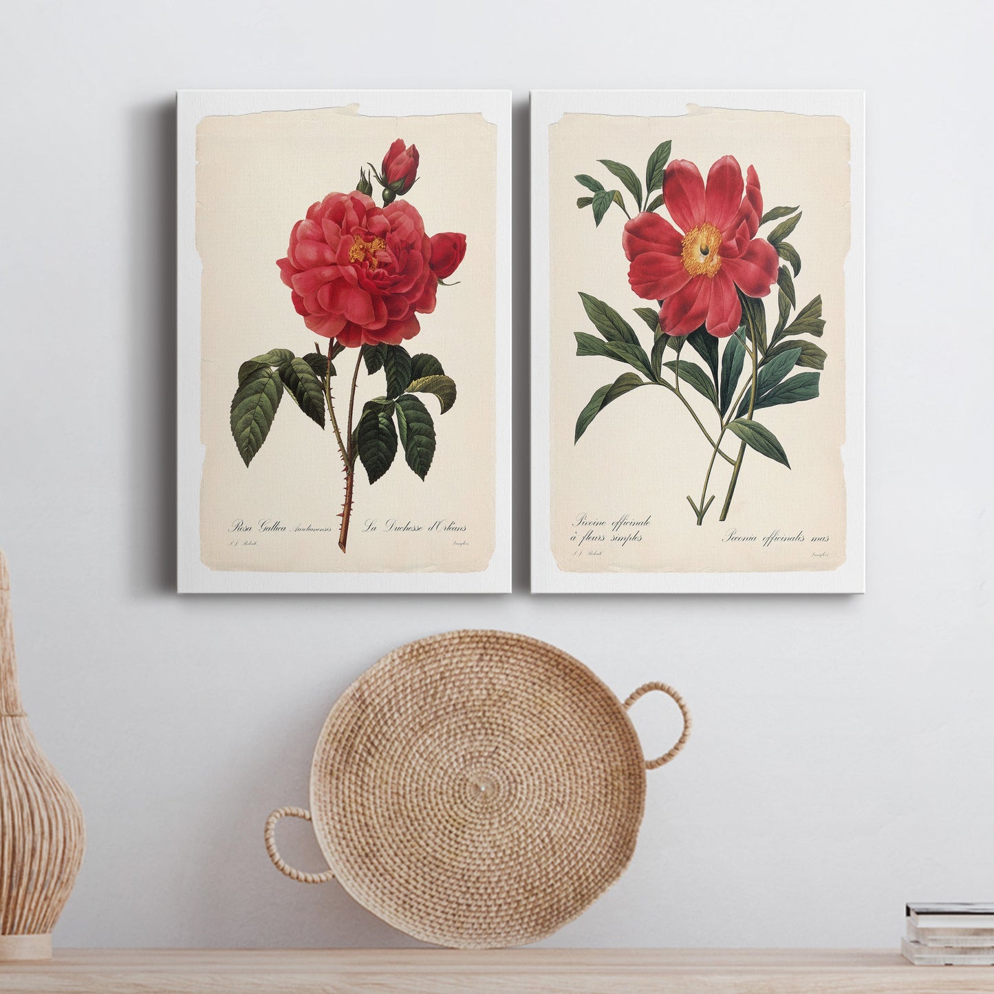 Red Botanical III Premium Gallery Wrapped Canvas - Ready to Hang - Set of 2 - 8 x 12 Each