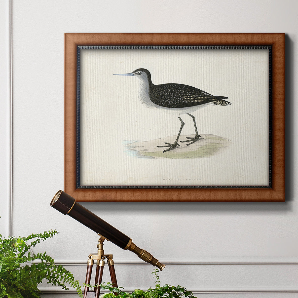 Morris Sandpipers VIII Premium Framed Canvas- Ready to Hang