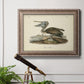 Audubons Brown Pelican - Ornate Framed Canvas Print
