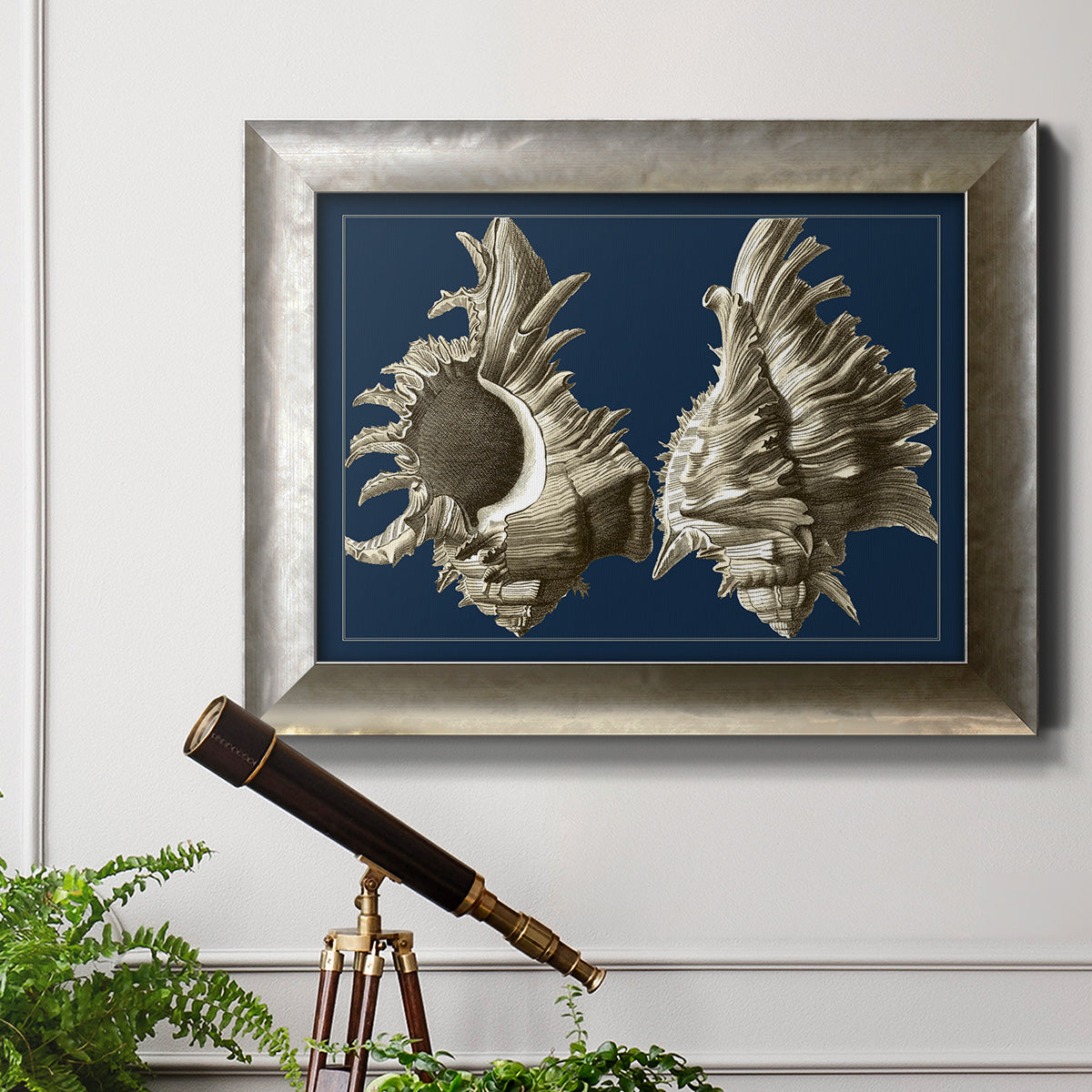 Conch Shells on Navy II Premium Framed Canvas- Ready to Hang