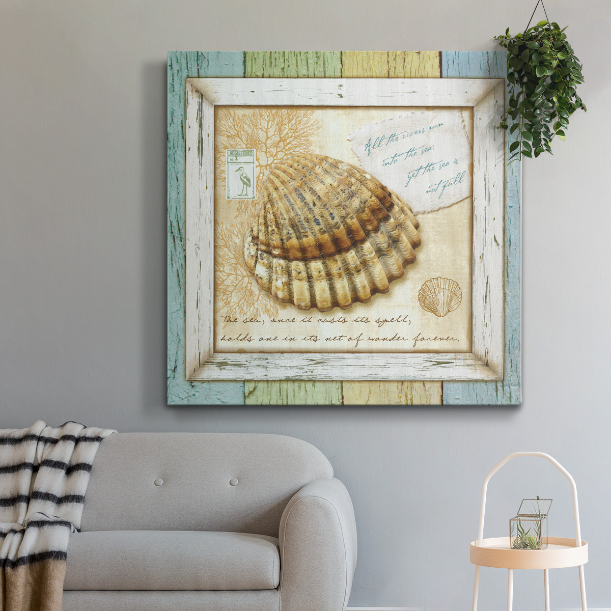 Sea Treasures V-Premium Gallery Wrapped Canvas - Ready to Hang