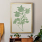 Vintage Garden I - Modern Framed Canvas Print