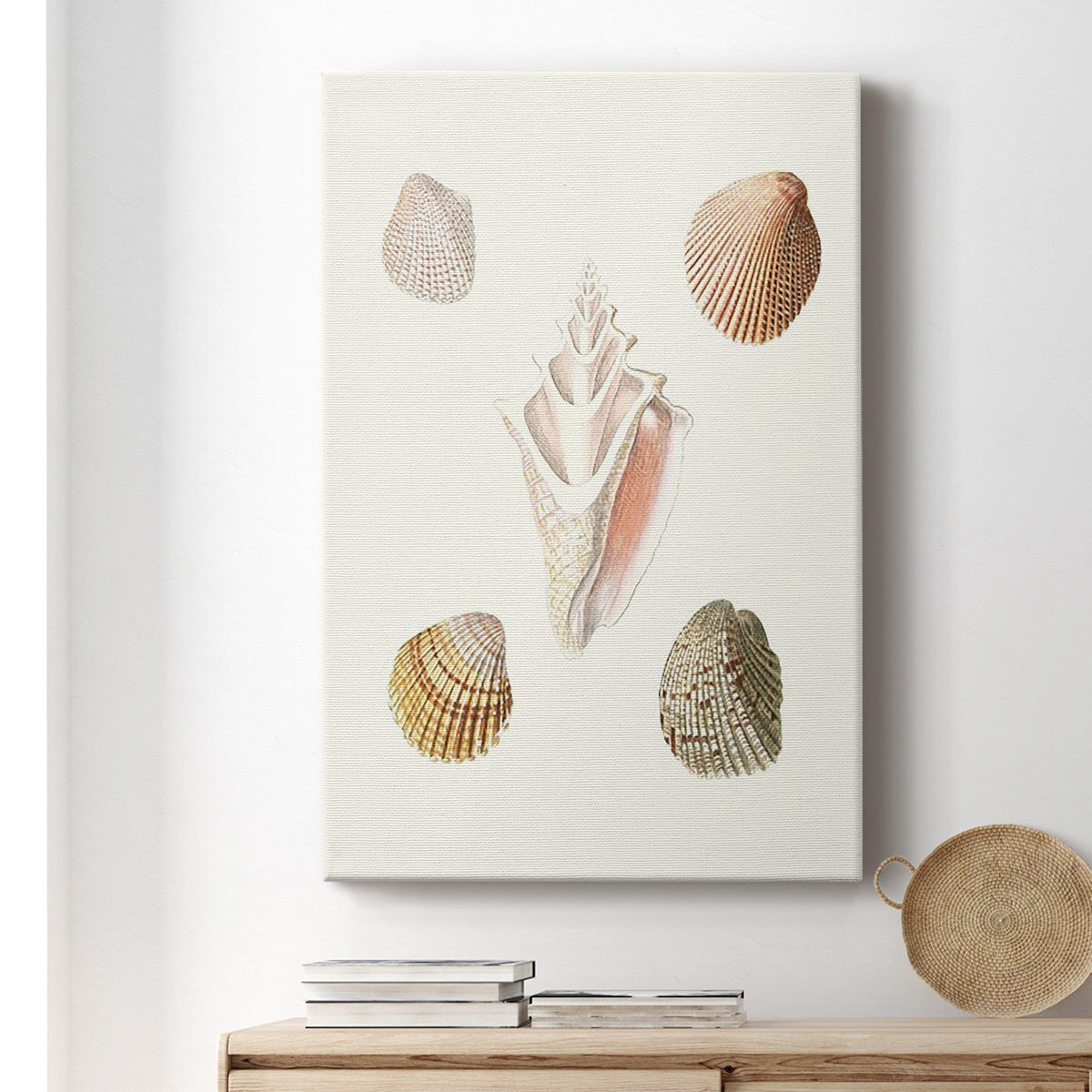 Pastel Knorr Shells IX - Canvas Art Print