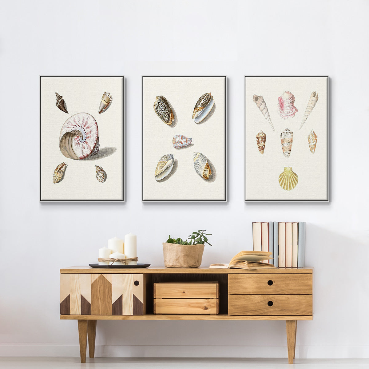 Pastel Knorr Shells I - Framed Premium Gallery Wrapped Canvas L Frame 3 Piece Set - Ready to Hang