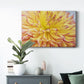 Blooms III - Canvas Art Print