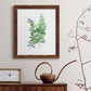 Eucalyptus I - Premium Canvas Framed in Barnwood - Ready to Hang