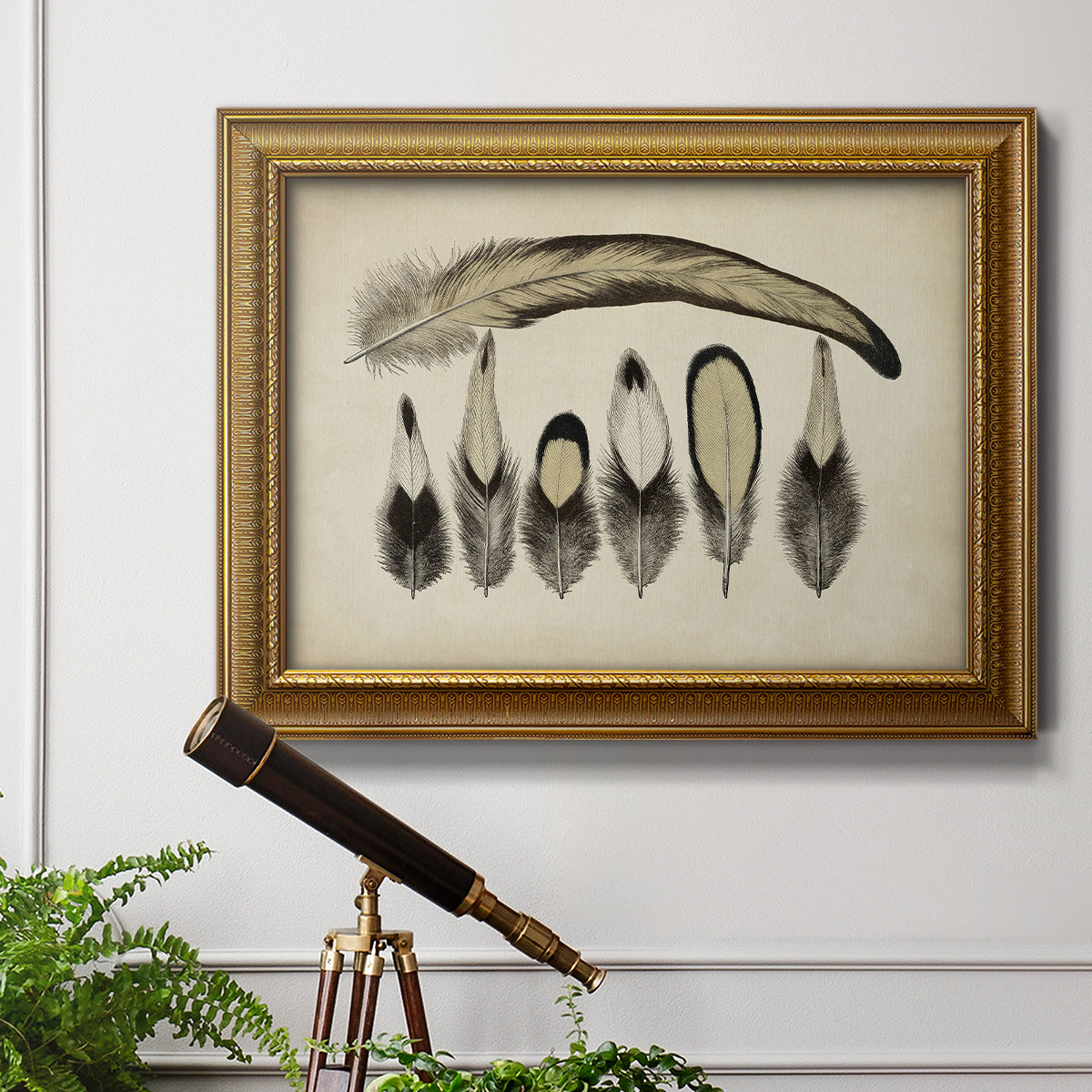 Vintage Feathers VII Premium Framed Canvas- Ready to Hang