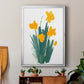 Daffodil Bunch II - Modern Framed Canvas Print