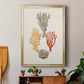 Knorr Shells & Coral IV - Modern Framed Canvas Print