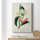 Turpin Tropical Botanicals IX - Canvas Art Print