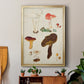 Mushroom Species XI - Modern Framed Canvas Print