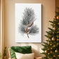 Evergreen of Silver Whisper - Canvas Art Print