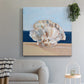 Coral By the Shore III - Canvas Art Print