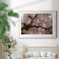 Spring's Arrival - Barnwood Framed Art Print