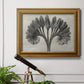 Vintage botanical plant study photograph by Karl Blossfeldt in an ornate traditional gold frame displayed in a light-toned interior setting.
