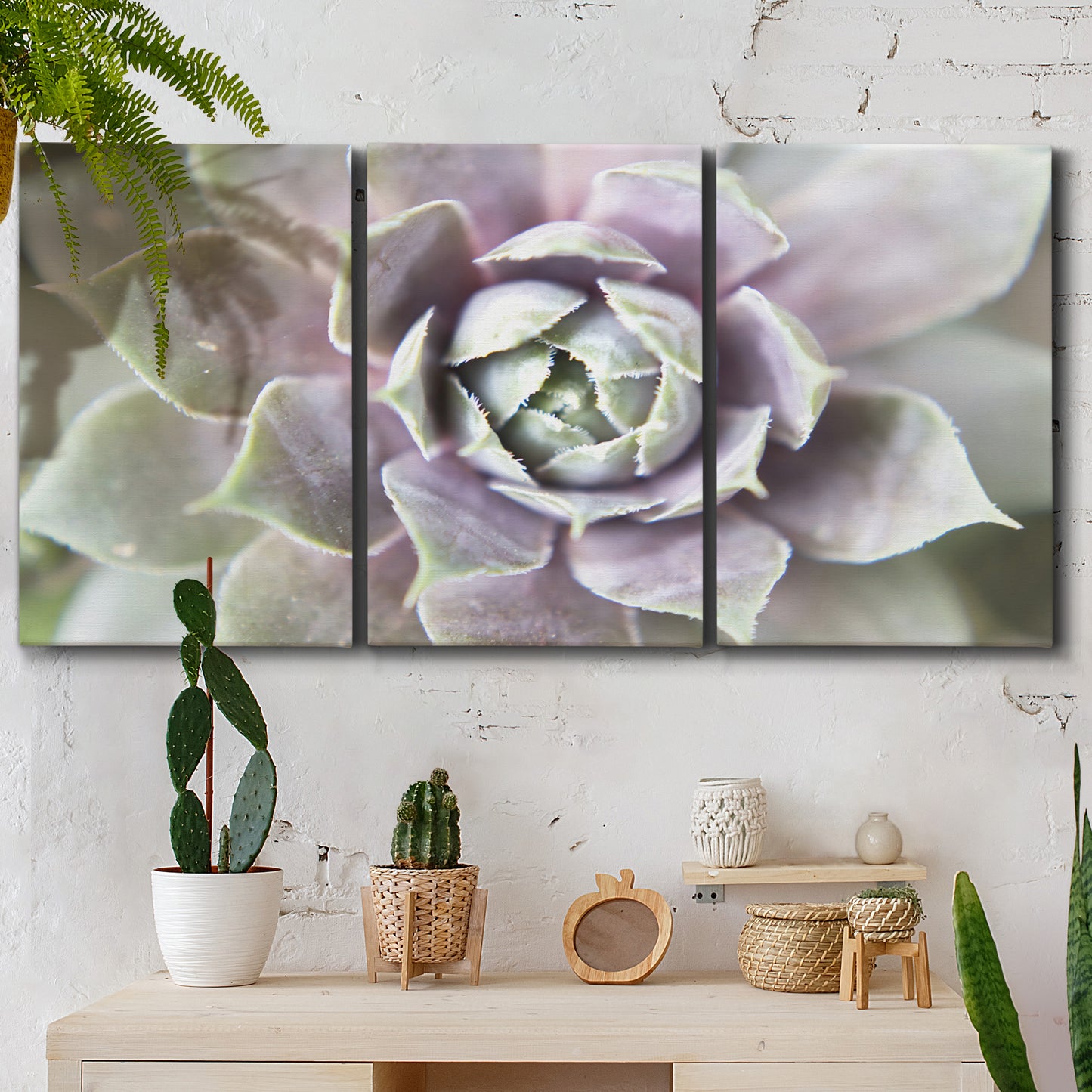 Three-panel canvas wall art featuring close up succulent photography, displayed in a boho-chic entryway above a console table.