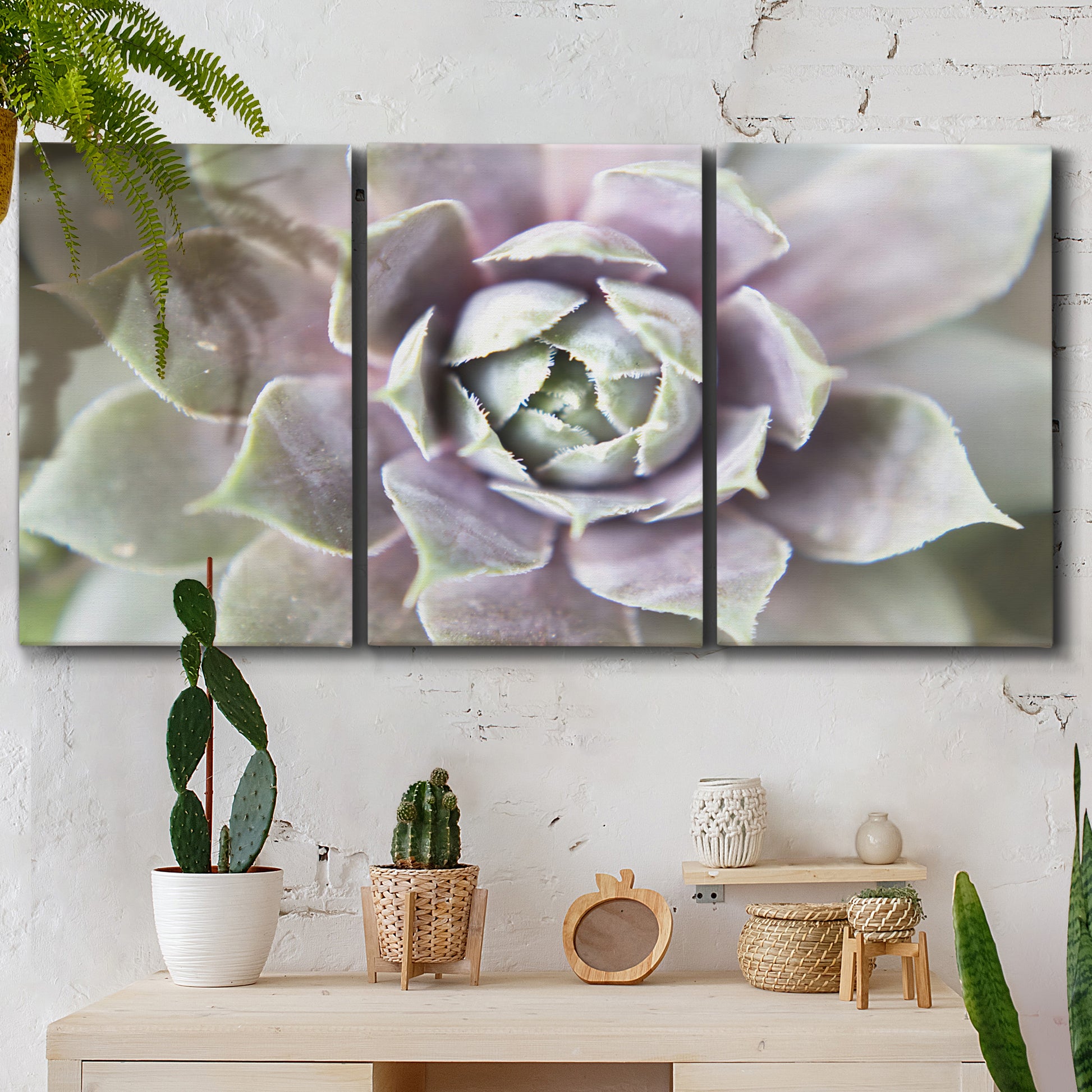 Three-panel canvas wall art featuring close up succulent photography, displayed in a boho-chic entryway above a console table.