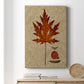 Autumn Leaf I Premium Gallery Wrapped Canvas - Ready to Hang