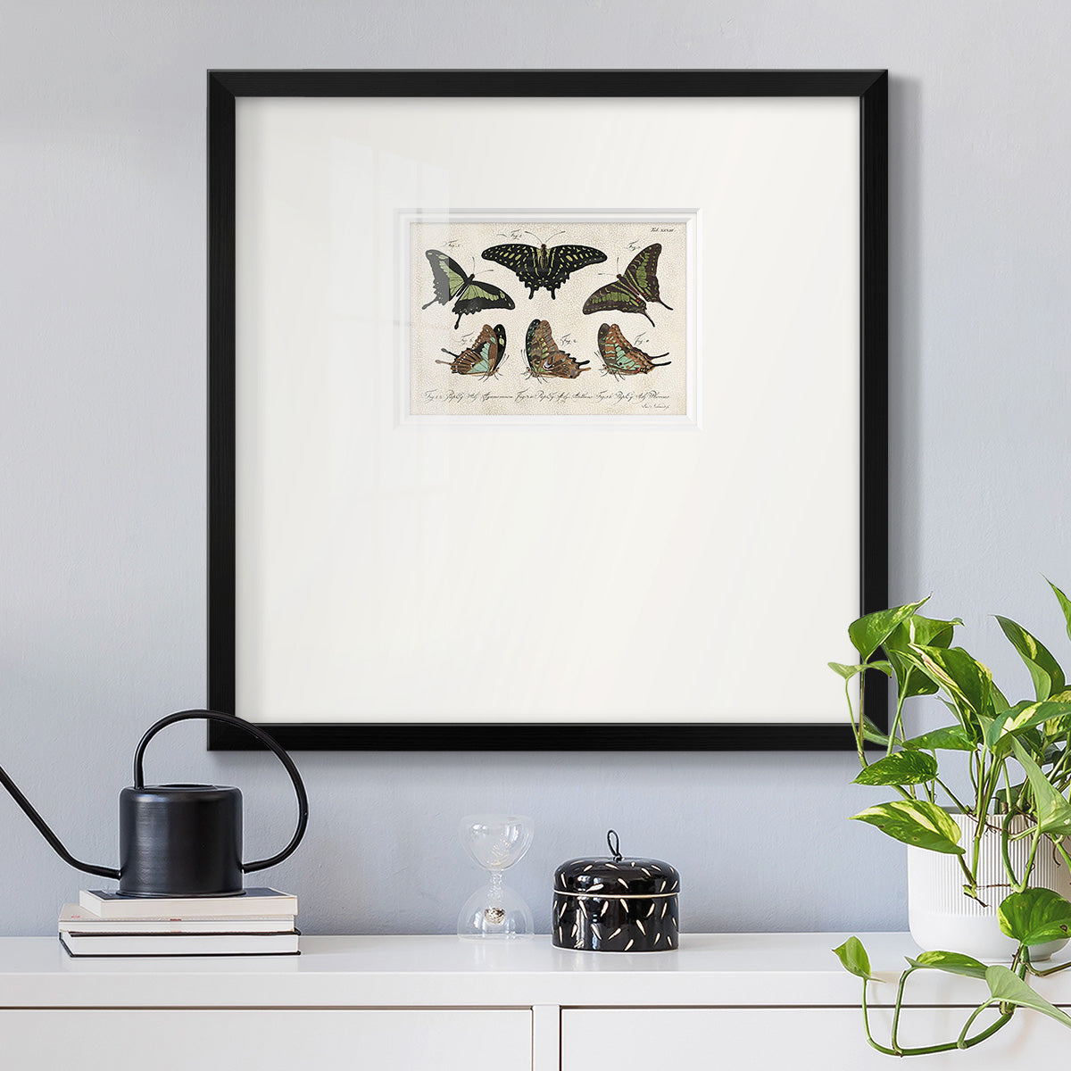 Crackled Butterflies II Premium Framed Print Double Matboard