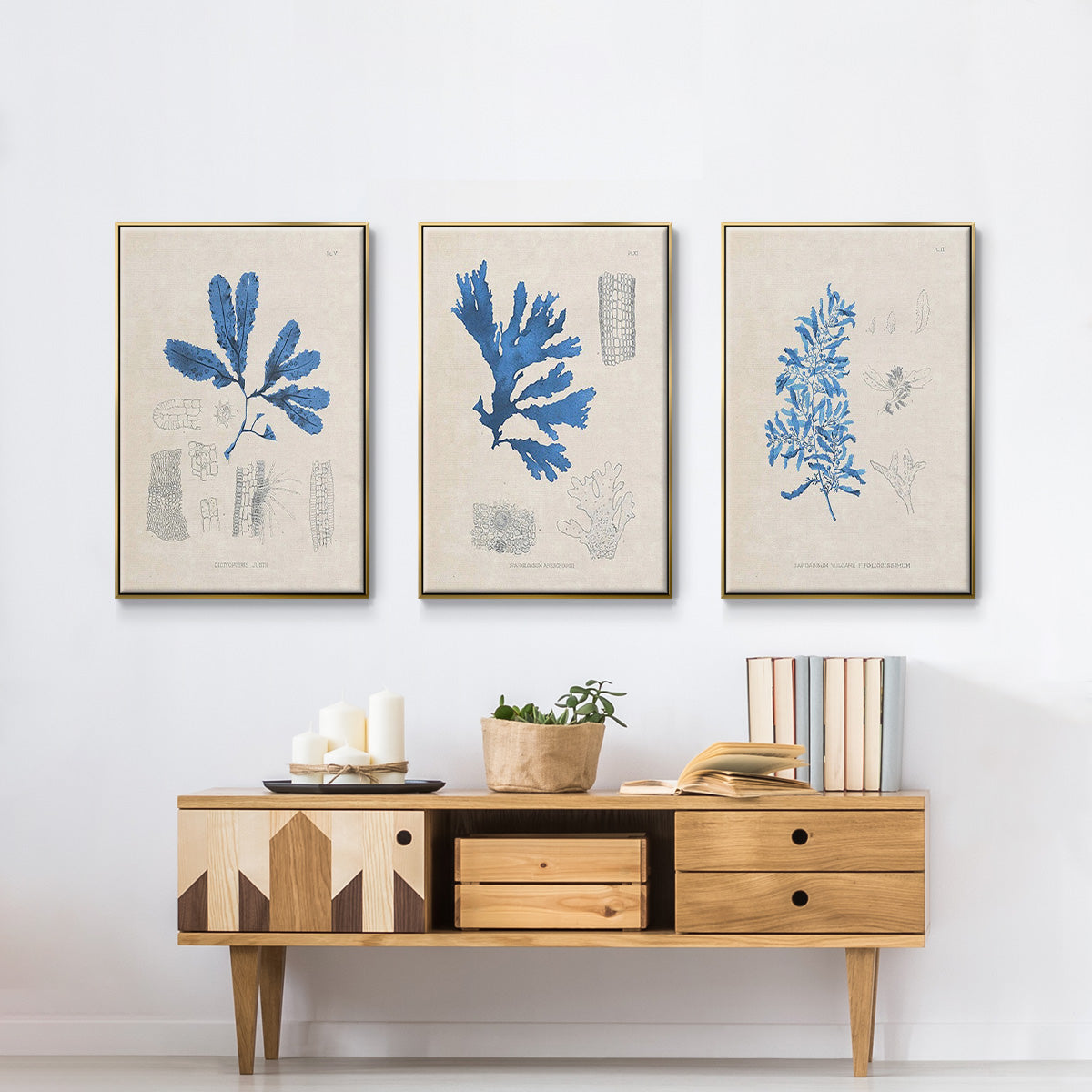 Blue Marine Algae VI - Framed Premium Gallery Wrapped Canvas L Frame 3 Piece Set - Ready to Hang