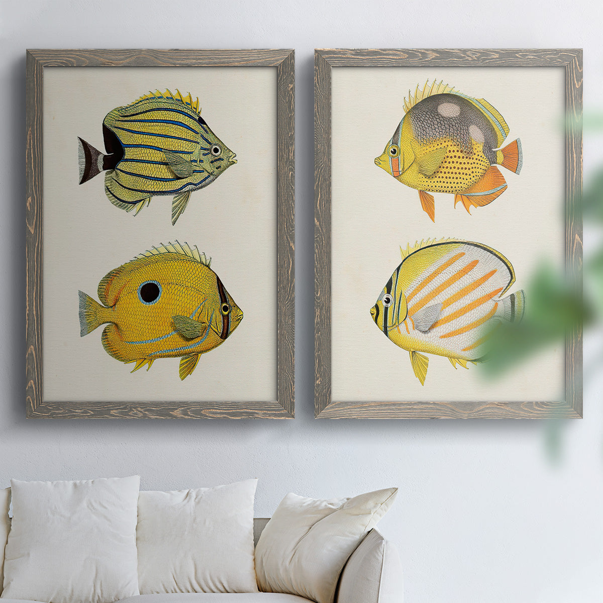 Yellow & Grey Fish III - Premium Framed Canvas 2 Piece Set - Ready to Hang