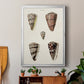 Cone Shell Collection III - Modern Framed Canvas Print