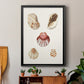 Pastel Knorr Shells V - Modern Framed Canvas Print