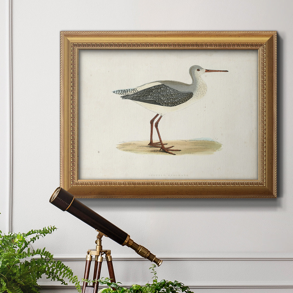 Morris Sandpipers I Premium Framed Canvas- Ready to Hang